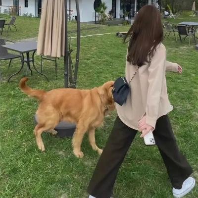 黄色杀手